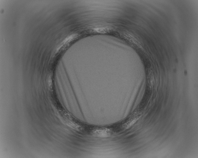 X0000067900595200605111919