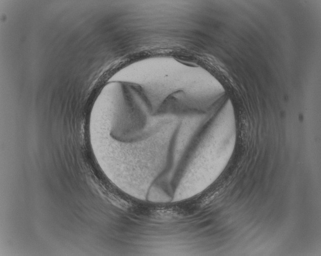 X0000067900596200605111919