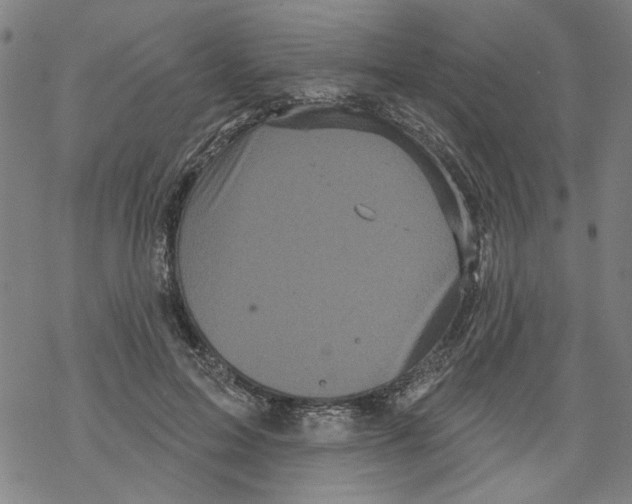 X0000067900599200605111919