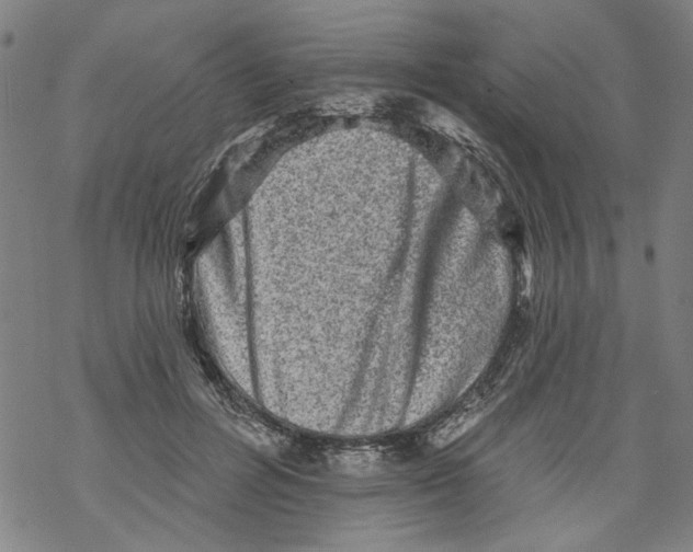 X0000067900600200605111919