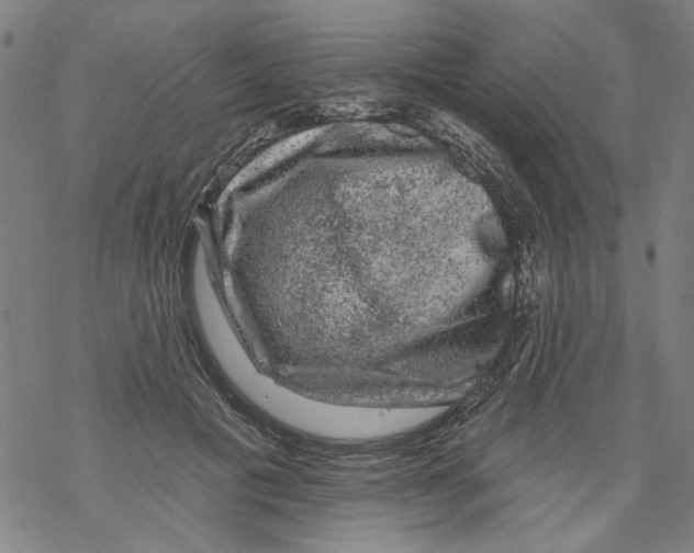 X0000067900601200605111919