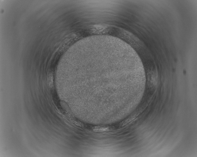 X0000067900602200605111919