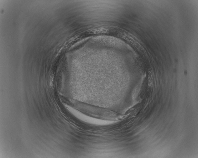 X0000067900604200605111919