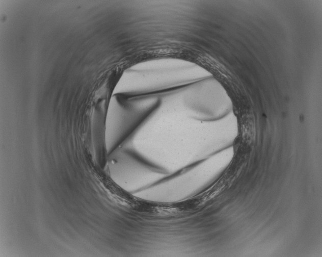 X0000067900605200605111919