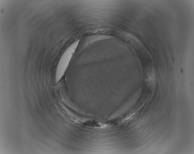 X0000067900607200605111919