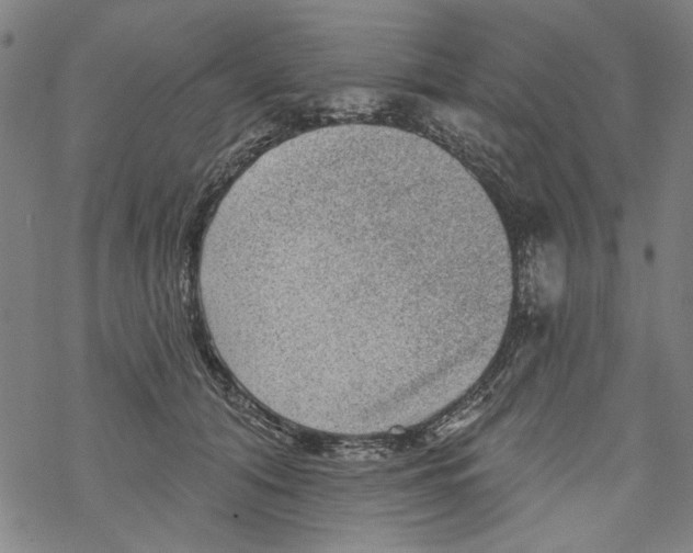 X0000067900608200605111919