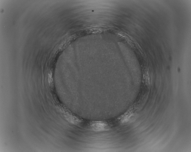 X0000067900610200605111919