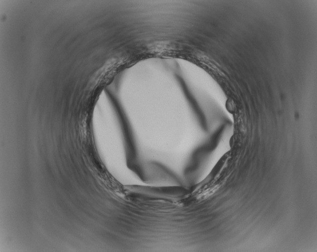 X0000067900611200605111919