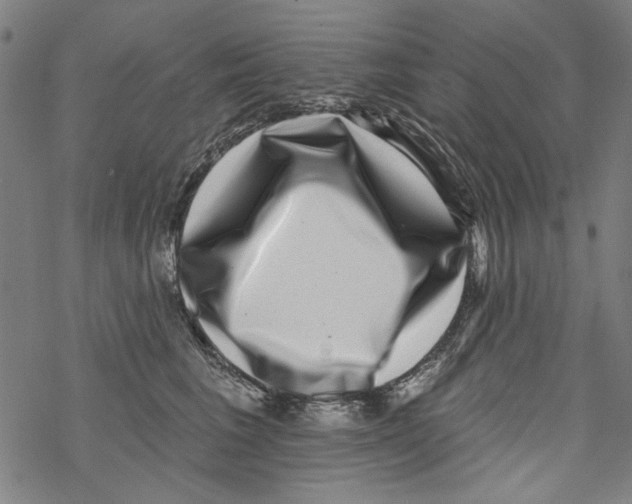 X0000067900613200605111919