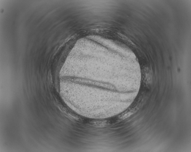 X0000067900615200605111919