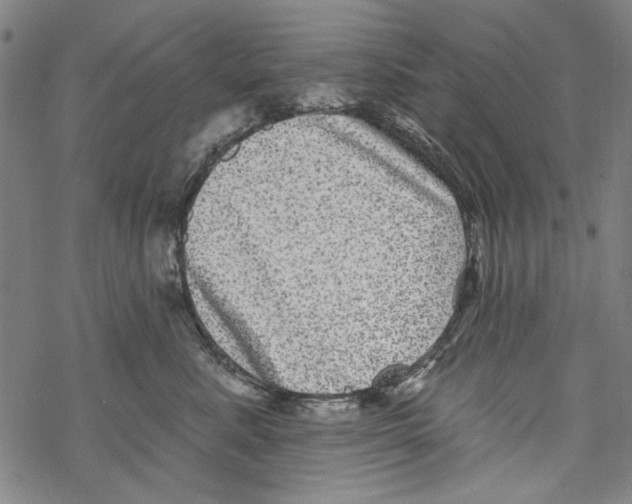 X0000067900619200605111919