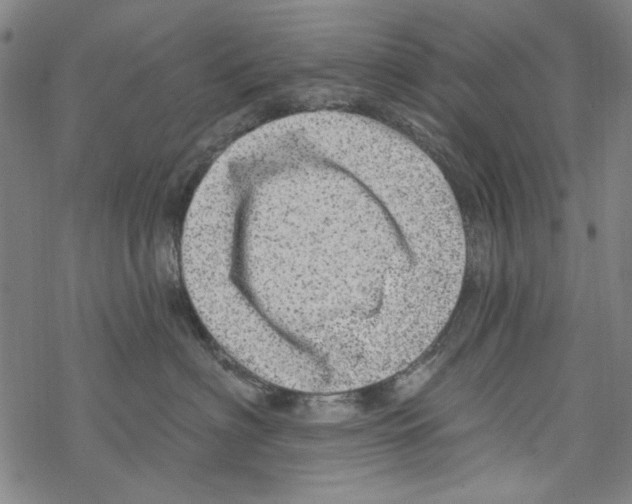 X0000067900622200605111919