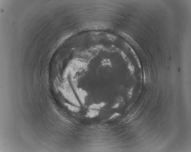 X0000067900627200605111918