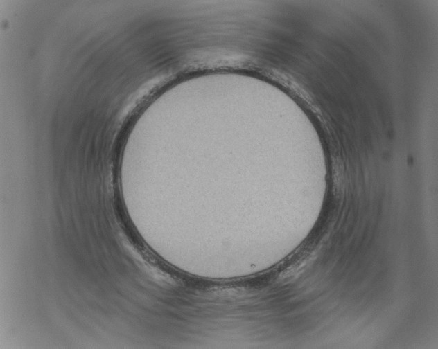 X0000067900629200605111918