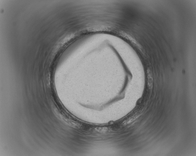 X0000067900631200605111918