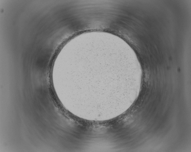 X0000067900632200605111918