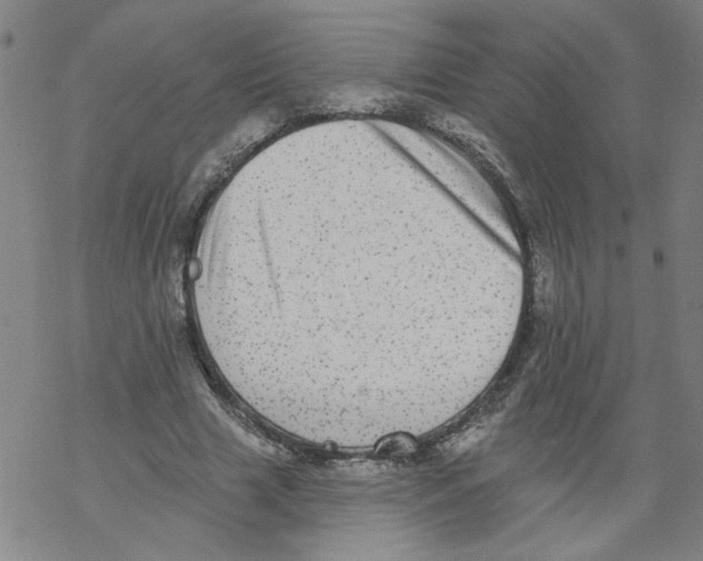 X0000067900633200605111918