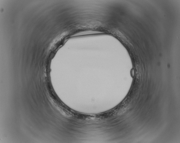 X0000067900634200605111918