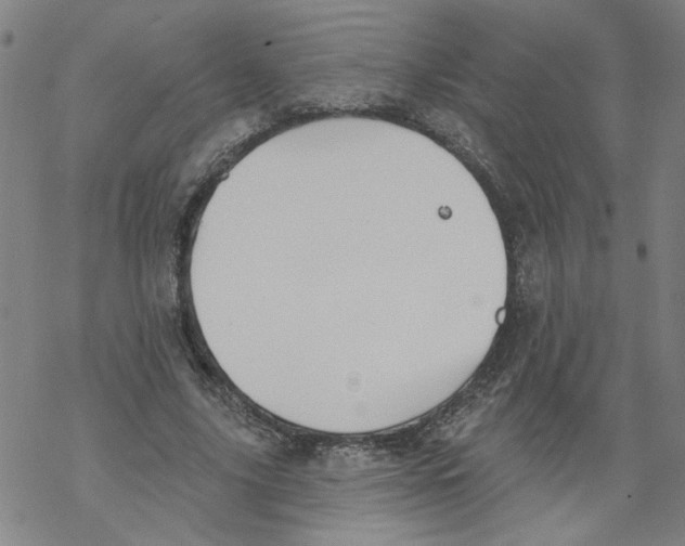 X0000067900635200605111918