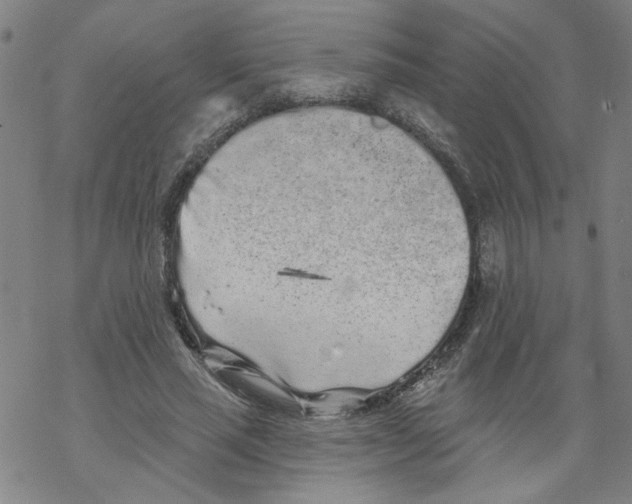 X0000067900637200605111918