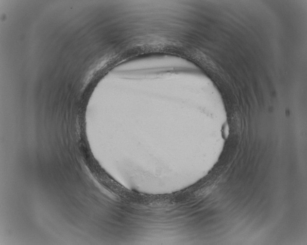 X0000067900638200605111918