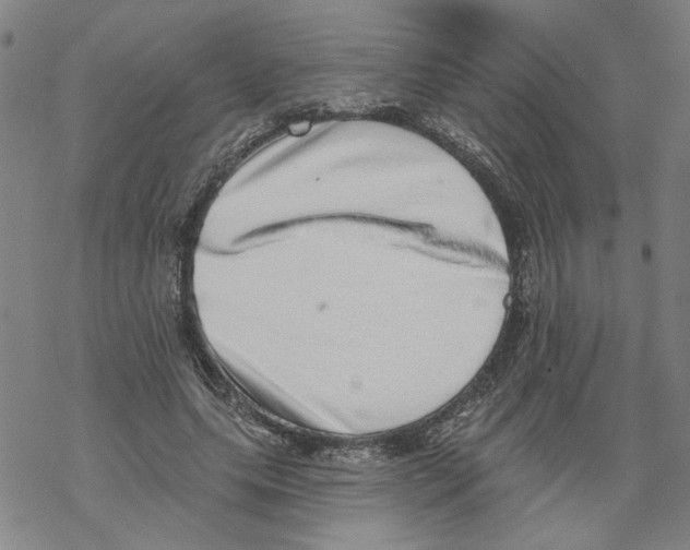 X0000067900639200605111918