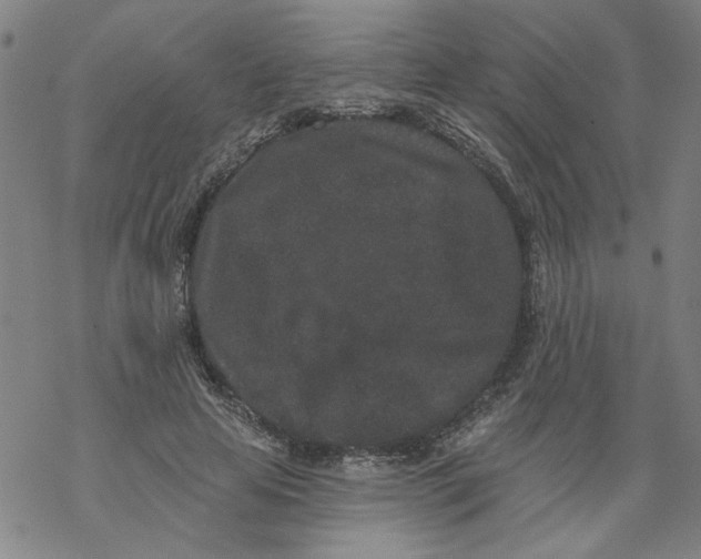 X0000067900641200605111918