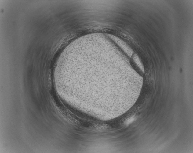 X0000067900642200605111918