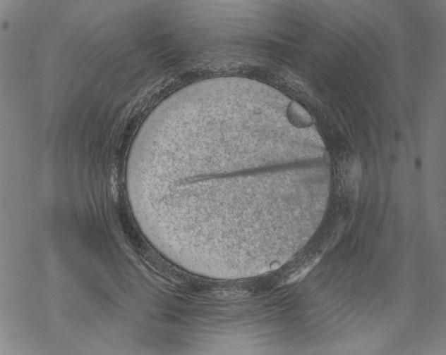 X0000067900644200605111918