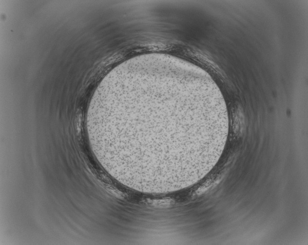 X0000067900645200605111918