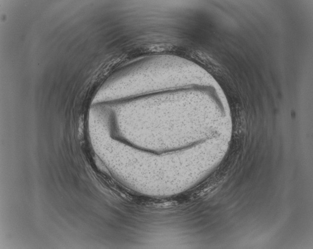 X0000067900646200605111918