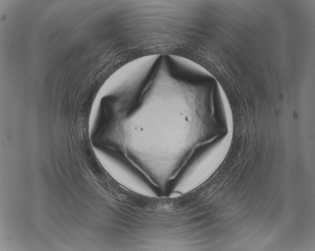 X0000067900647200605111918