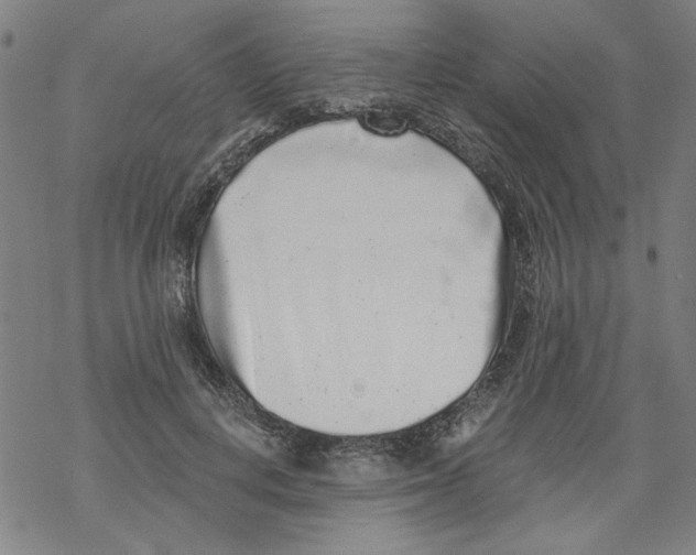 X0000067900648200605111918