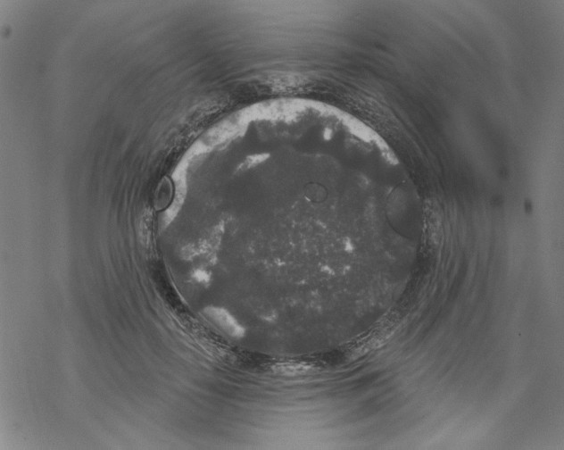 X0000067900650200605111918