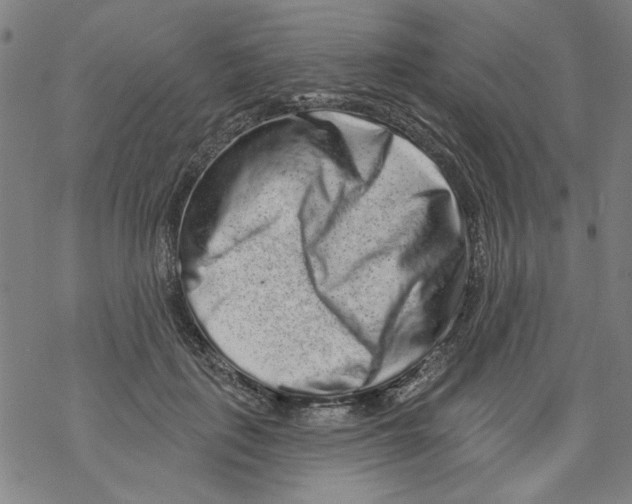 X0000067900651200605111918