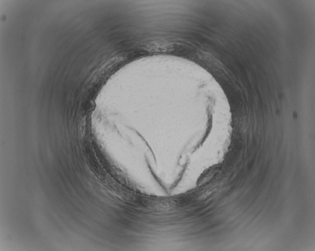 X0000067900652200605111918