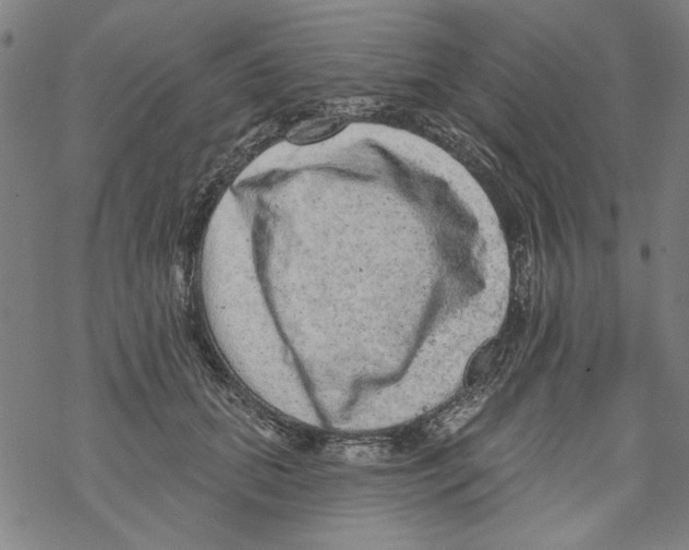 X0000067900655200605111918