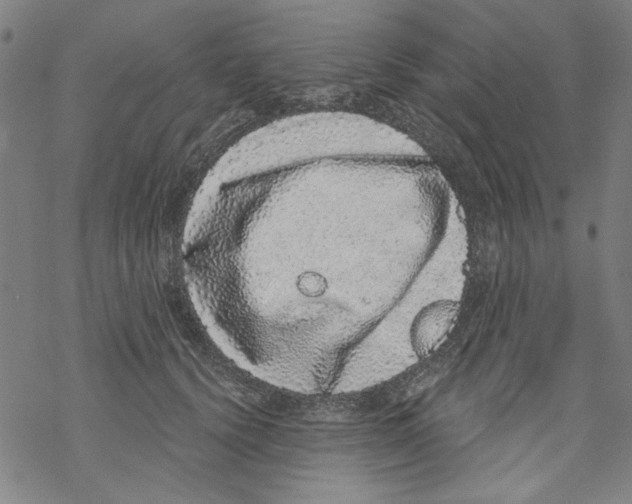 X0000067900656200605111918