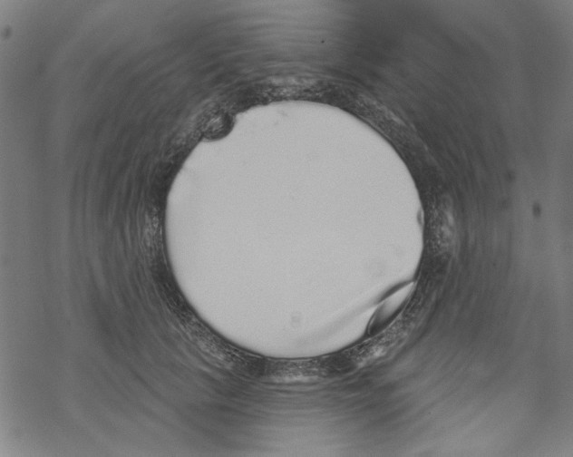 X0000067900657200605111918