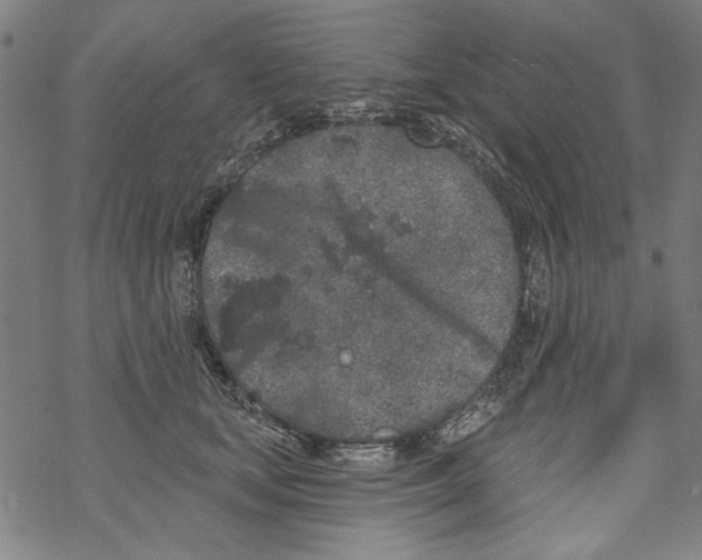 X0000067900659200605111918