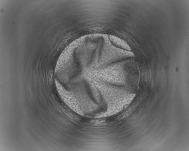 X0000067900660200605111918