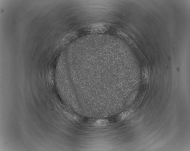 X0000067900663200605111918