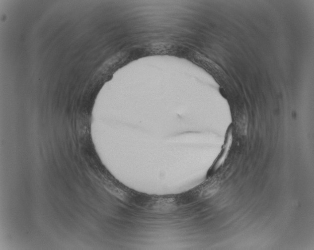 X0000067900665200605111918