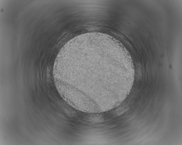 X0000067900667200605111918