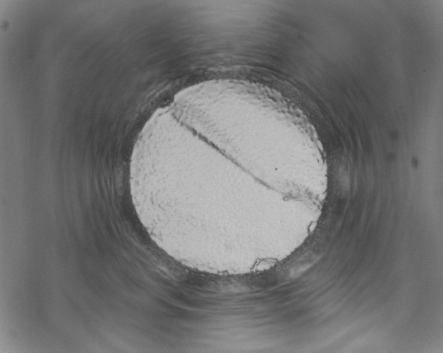 X0000067900668200605111918