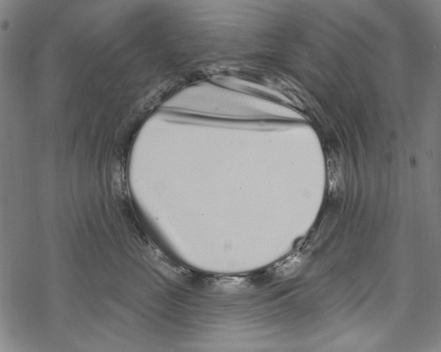 X0000067900669200605111918