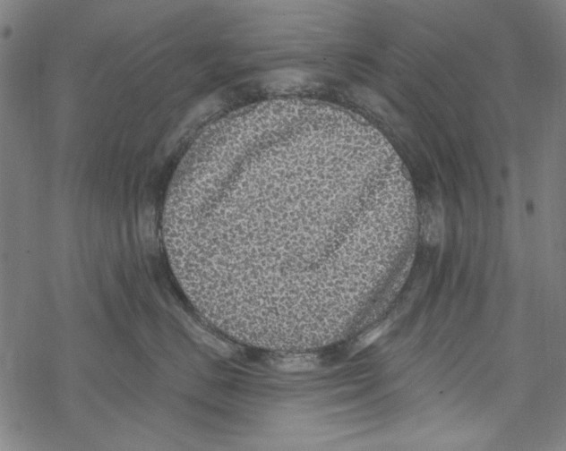 X0000067900670200605111918