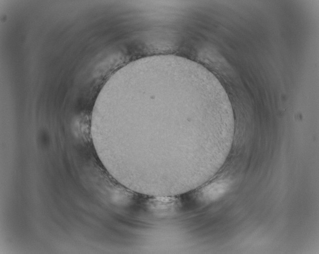 X0000067900672200605111918