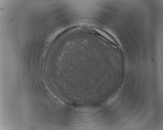 X0000067900673200605111918