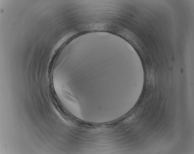 X0000067900674200605111918